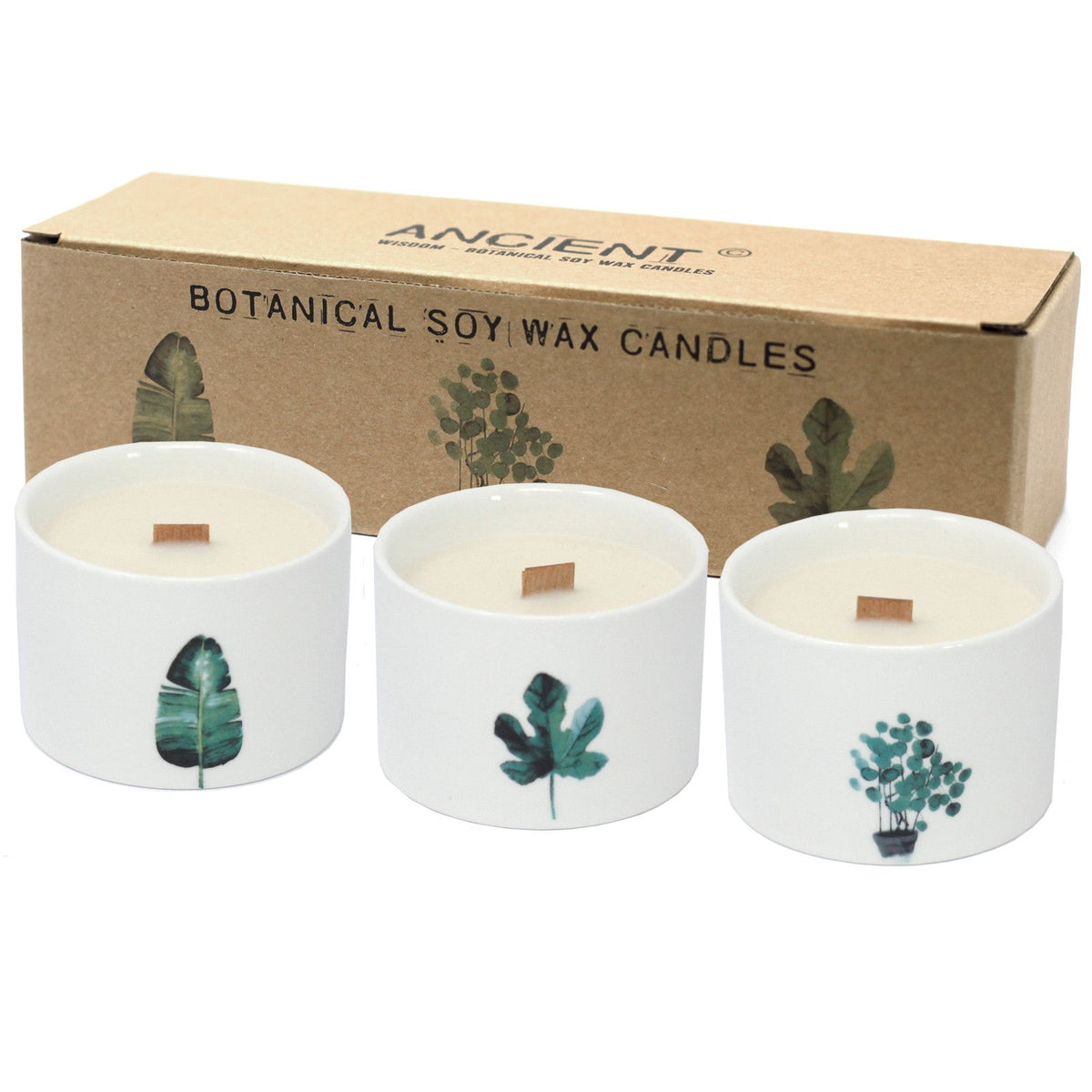 Medium Botanical Candle - Japanese Garden