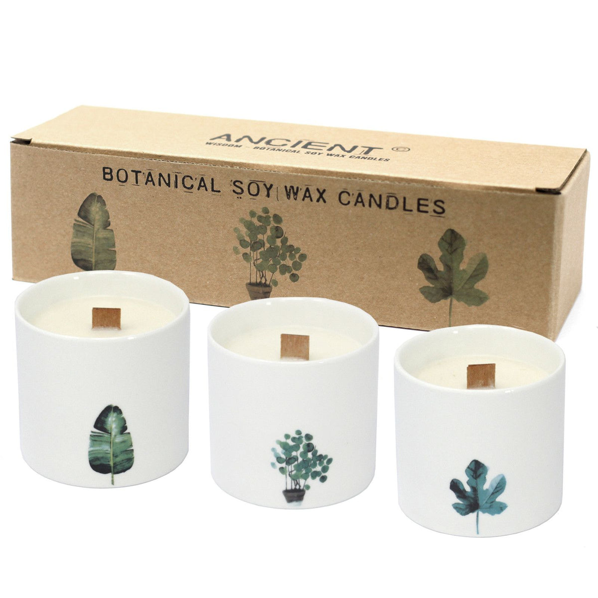 Large Botanical Candle - Victorian Peony