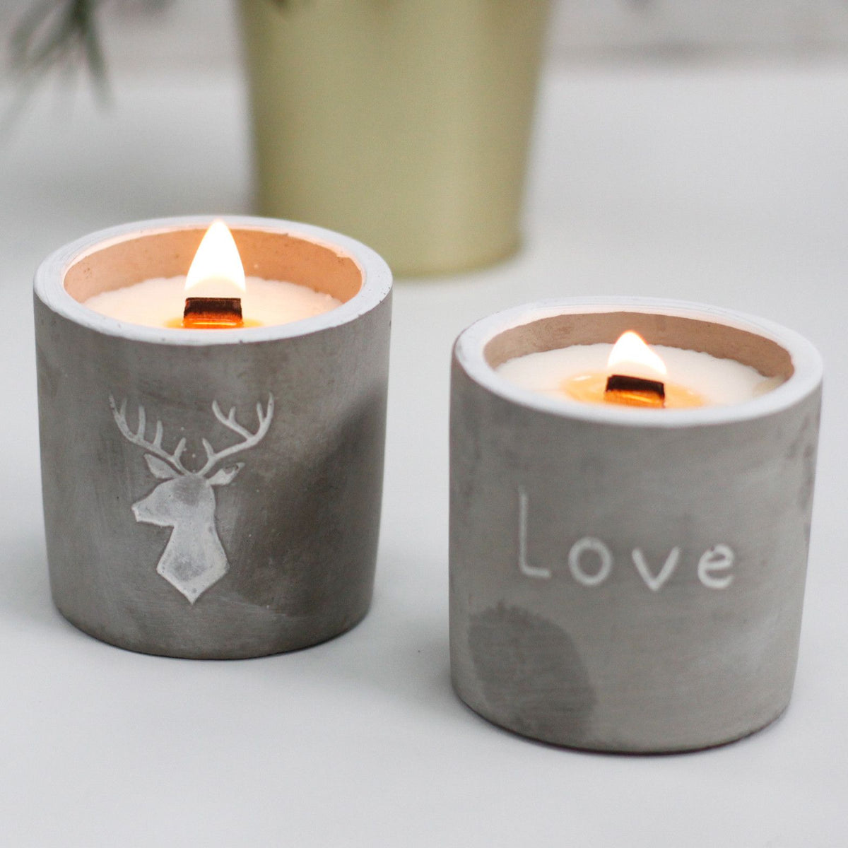 Whiskey & Woodsmoke Concrete Candle | Wooden Wick | Stag Head | Medium Pot | Amber & Calm