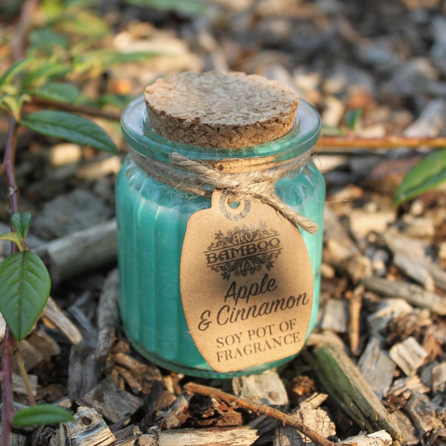 Apple & Cinnamon Soy Candle – Natural Fragrance Jar Candle
