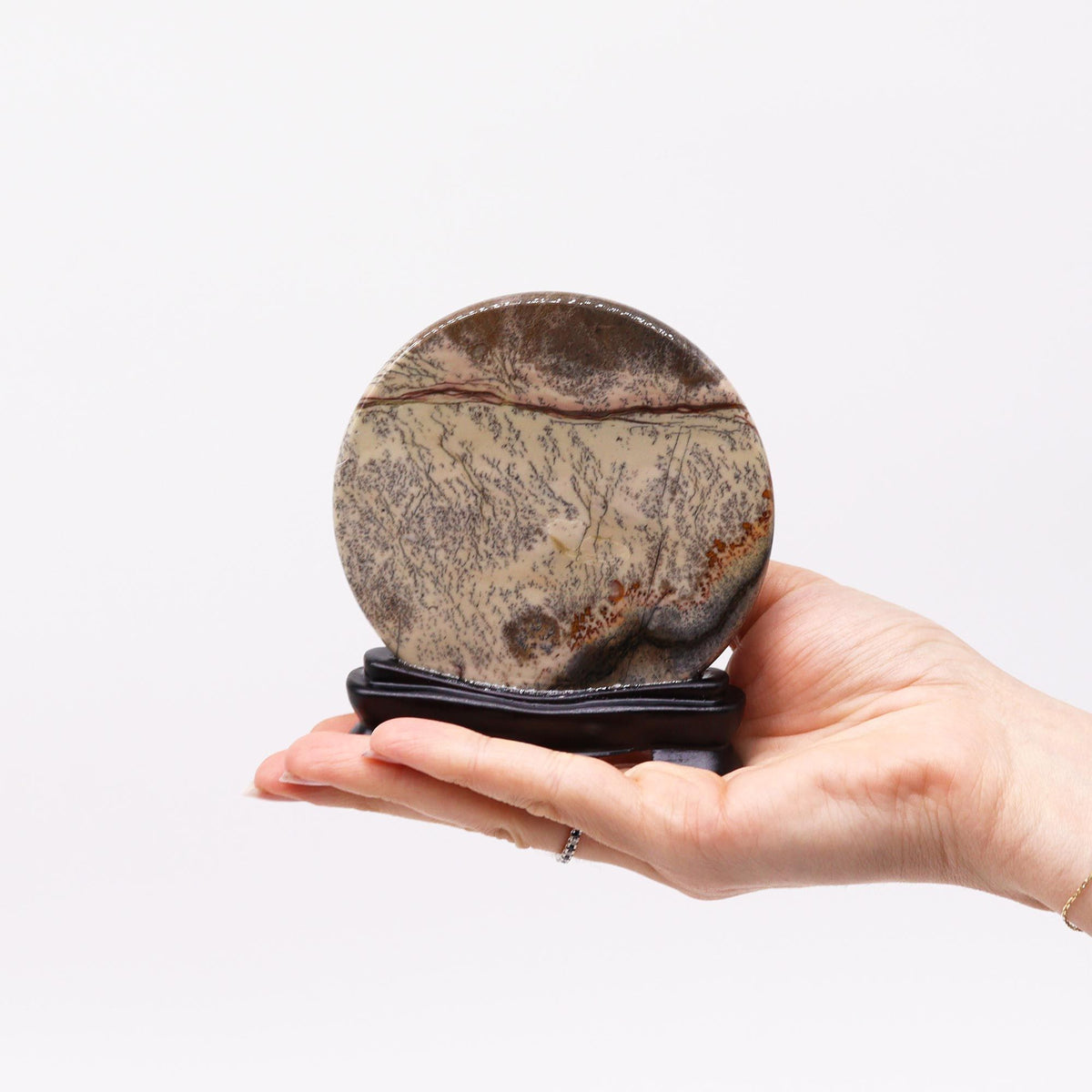 Guohua Picture Stone | Disc | Natural Dendrite Landscape Stone | 100mm
