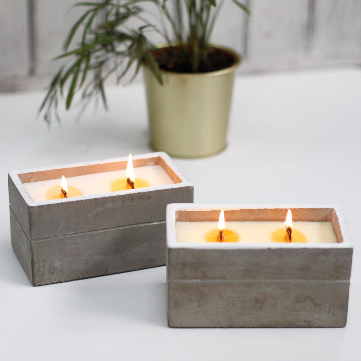 Spiced South Sea Lime Concrete Candle | Wooden Wick | Large | Amber & Calm