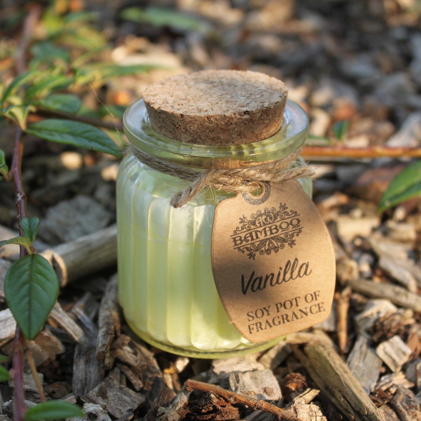 Vanilla Soy Candle | Warm & Comforting Natural Home Fragrance Gift