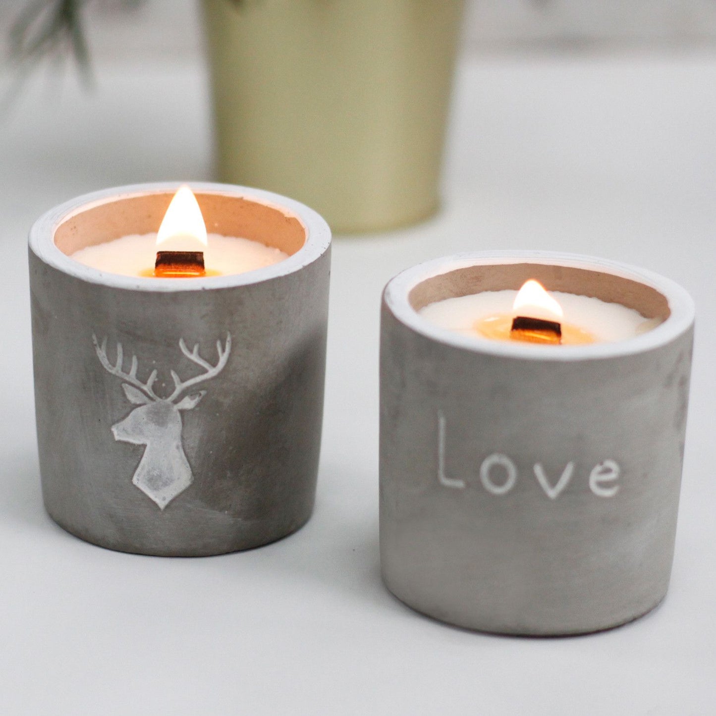 Purple Fig & Cassis Concrete Candle | Wooden Wick | Medium Pot | Amber & Calm