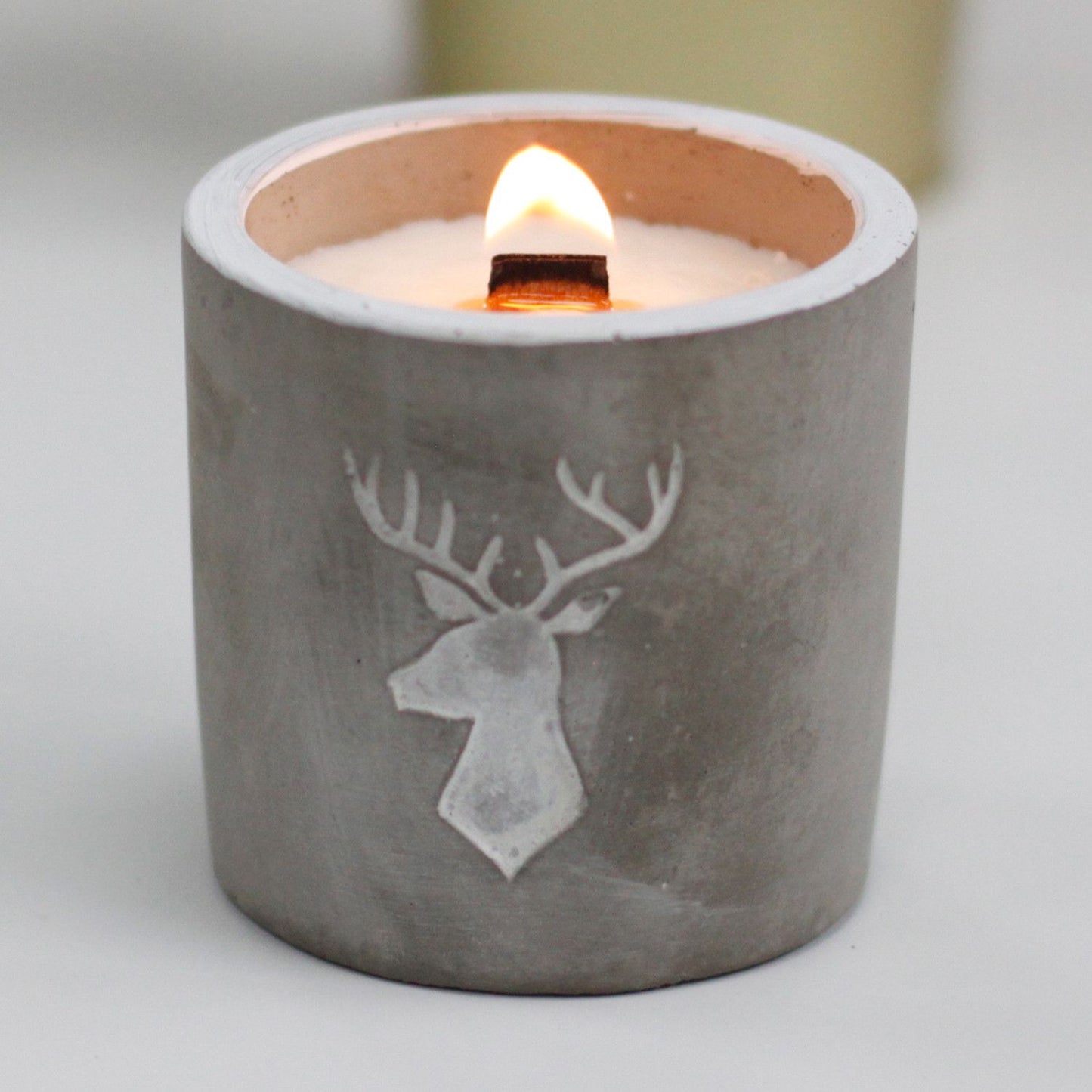 Whiskey & Woodsmoke Concrete Candle | Wooden Wick | Stag Head | Medium Pot | Amber & Calm