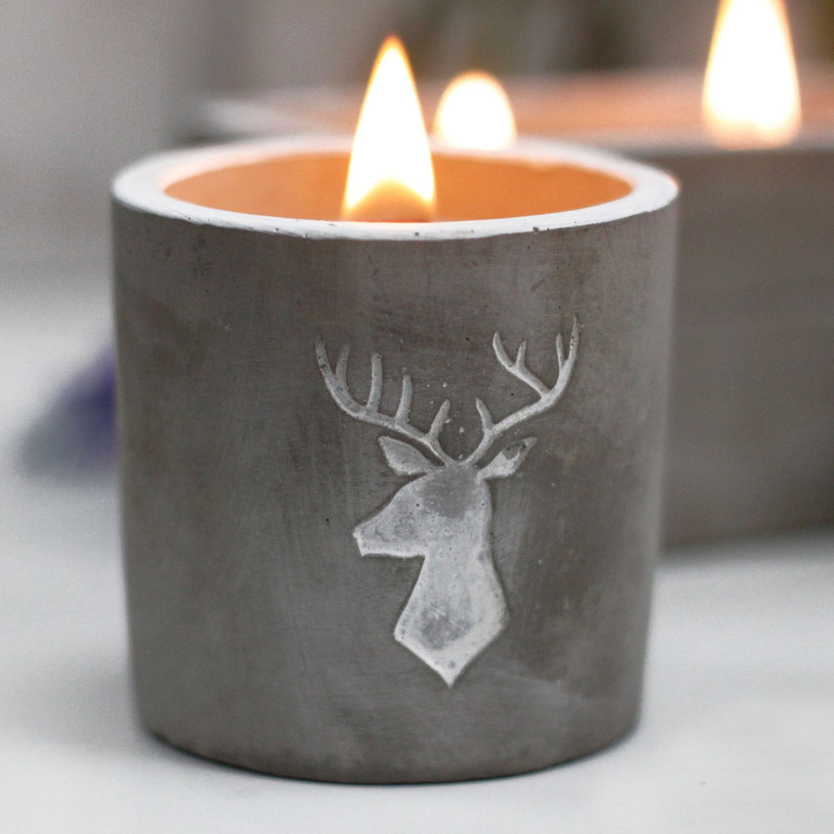 Whiskey & Woodsmoke Concrete Candle | Wooden Wick | Stag Head | Medium Pot | Amber & Calm