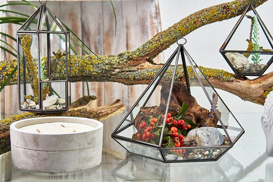 Large Diamond Glass Terrarium | Geometric Home Décor Gift | Succulent & Plant Display